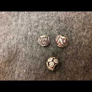 Pandora Charms